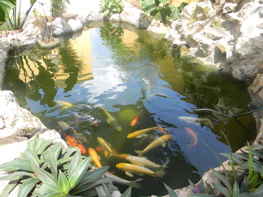 Hacienda Coba Bed & Breakfast エクステリア 写真